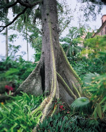 Imagen de los exteriores del Hotel Cloister At The Boca Raton. Foto 15