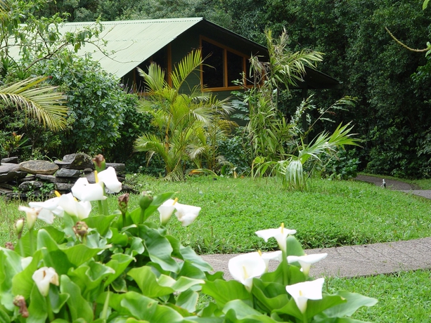 Imagen de los exteriores del Hotel Cloud Forest Lodge. Foto 5