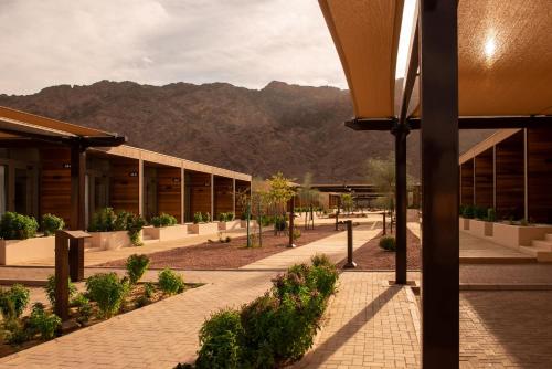 Imagen general del Hotel Cloud7 Residence AlUla. Foto 12