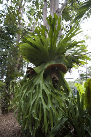 Imagen de los exteriores del Hotel Clouds Montville. Foto 9