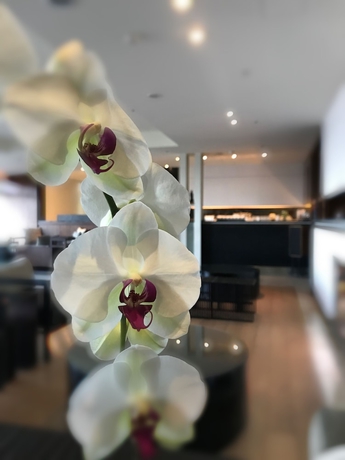 Imagen de los interiores del Hotel Cloudshometown. Foto 16