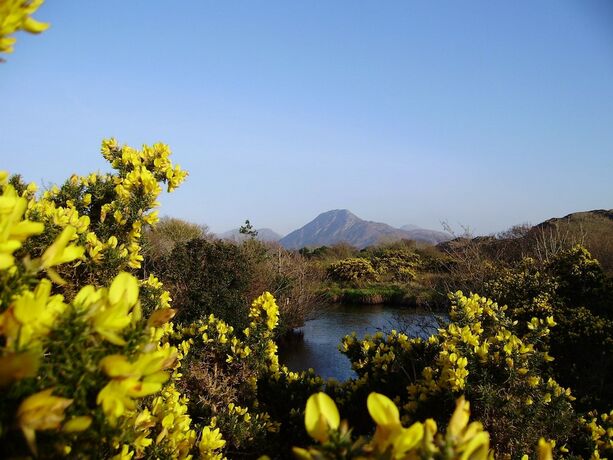 Imagen general del Hotel Cloverfox Connemara - Hostel. Foto 4