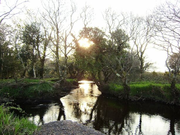 Imagen de la habitación del Hotel Cloverfox Connemara - Hostel. Foto 16