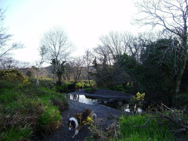 Imagen general del Hotel Cloverfox Connemara - Hostel. Foto 6