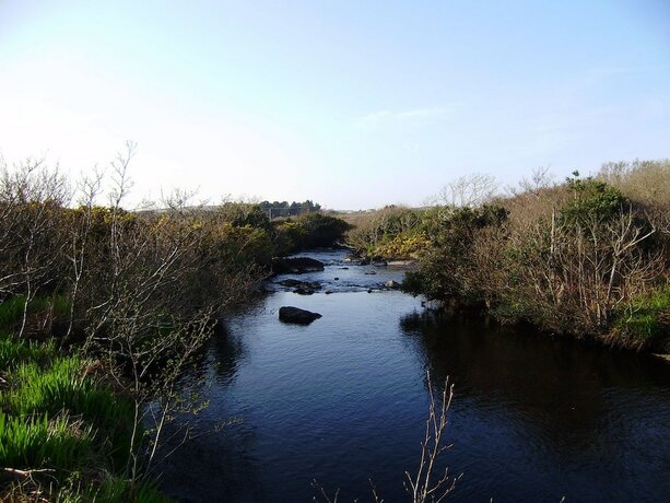 Imagen general del Hotel Cloverfox Connemara - Hostel. Foto 8
