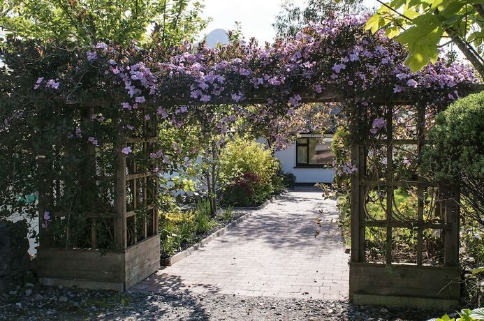 Imagen general del Hotel Cloverfox Connemara - Hostel. Foto 10