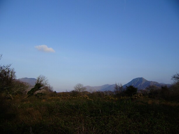 Imagen general del Hotel Cloverfox Connemara - Hostel. Foto 11