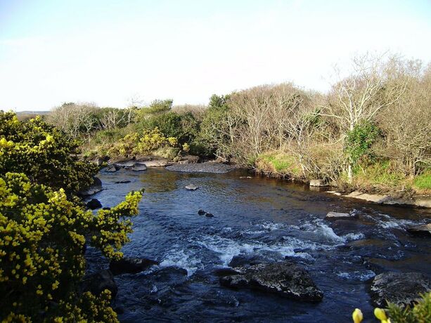 Imagen de la habitación del Hotel Cloverfox Connemara - Hostel. Foto 18