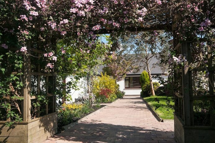 Imagen general del Hotel Cloverfox Connemara - Hostel. Foto 13