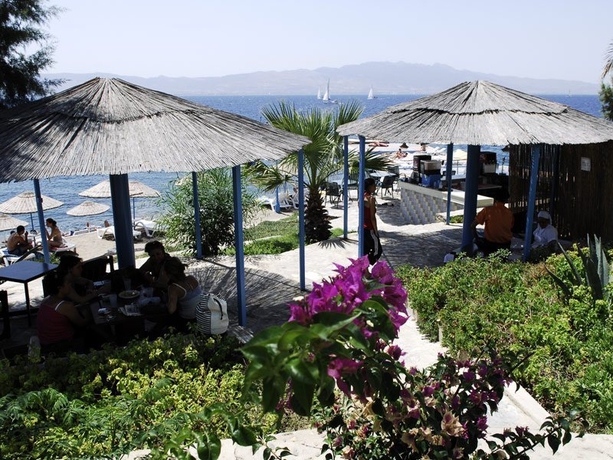 Imagen general del Hotel Club Acacia. Foto 5