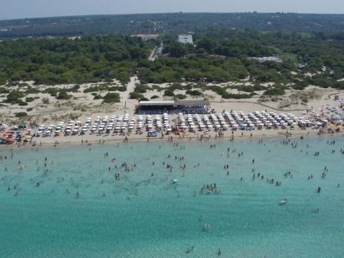 Imagen general del Hotel Club Astor. Foto 2