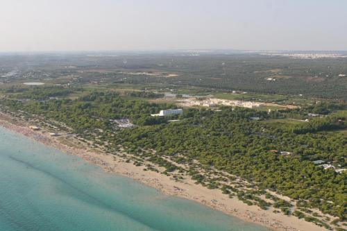 Imagen general del Hotel Club Astor. Foto 7