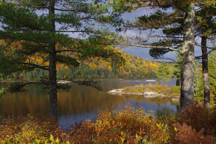 Imagen de la habitación del Hotel Club De Chasse And P&ecirc;che Tadoussac. Foto 10