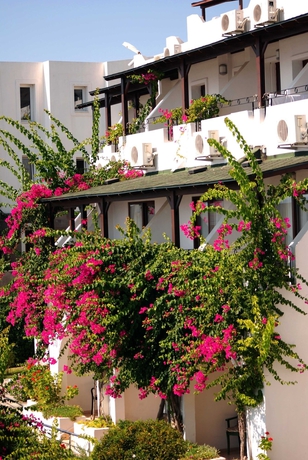 Imagen de los exteriores del Hotel Club Forever. Foto 5