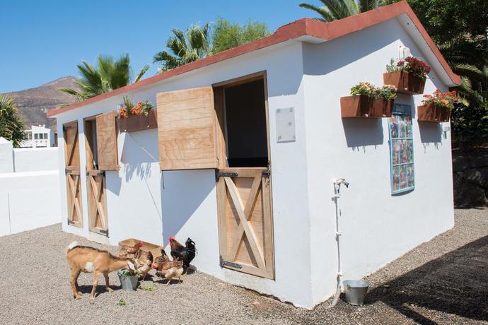 Imagen de los exteriores del Hotel Club Jandía Princess. Foto 17