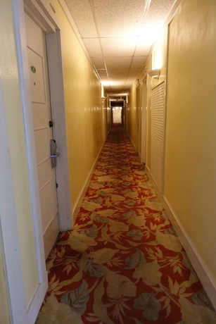 Imagen de los interiores del Hotel Club Land or. Foto 16