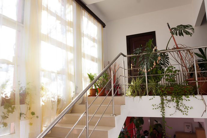 Imagen de los interiores del Hotel Club Montana. Foto 14