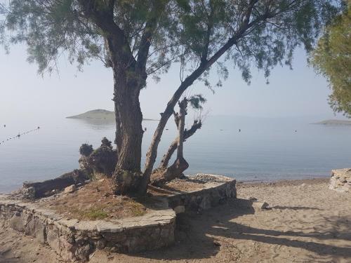 Imagen general del Hotel Club Muskebi, Bodrum. Foto 7