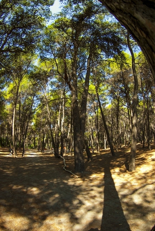 Imagen de los exteriores del Hotel Club Nature Village. Foto 17