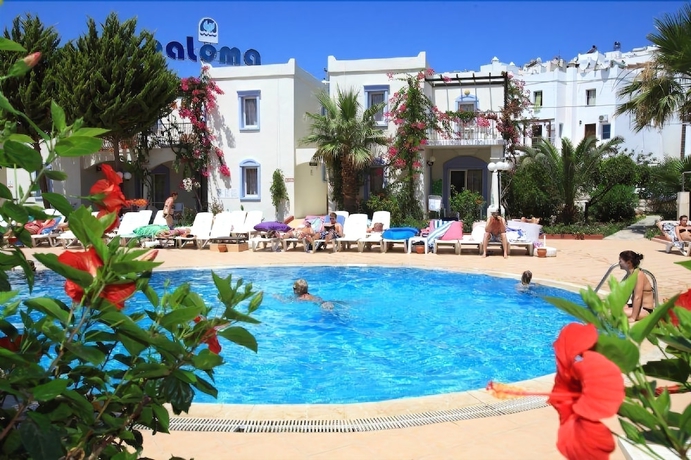 Imagen de la piscina del Hotel Club Paloma Apart. Foto 17