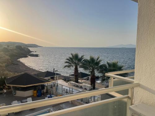 Imagen general del Hotel Club Rose Bay. Foto 2