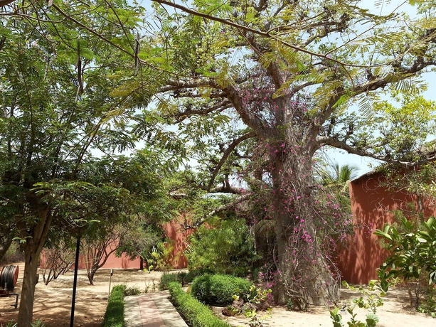 Imagen de los exteriores del Hotel Club Royal Saly - All Inclusive. Foto 14