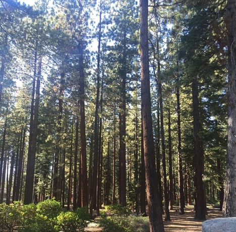 Imagen de los exteriores del Hotel Club Tahoe. Foto 16