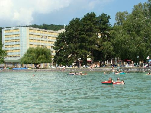 Imagen general del Hotel Club Tihany Resort. Foto 1