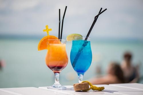 Imagen general del Hotel Club Tihany Resort. Foto 5