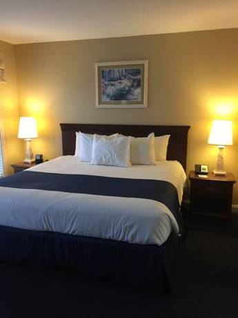 Imagen de la habitación del Hotel Club Wyndham Newport Onshore. Foto 13