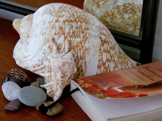 Imagen general del Hotel Club Yamba Luxury Holiday Apartments. Foto 10