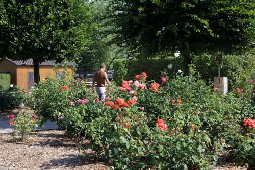 Imagen general del Hotel Club del Sole Bologna Easy Camping Village. Foto 11