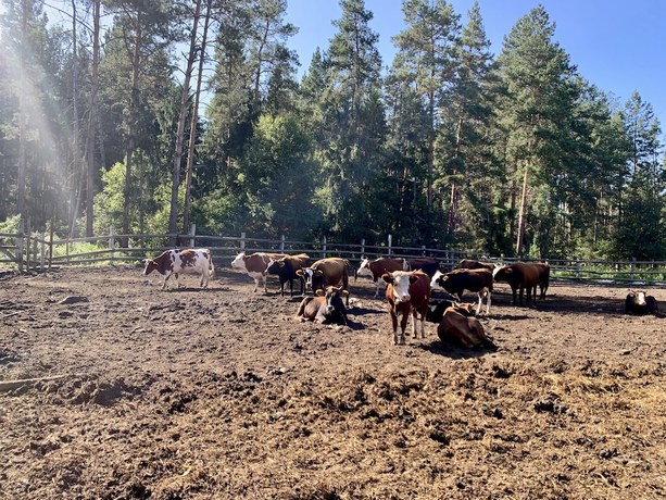 Imagen de los exteriores del Hotel Club-Glukhoman. Foto 17