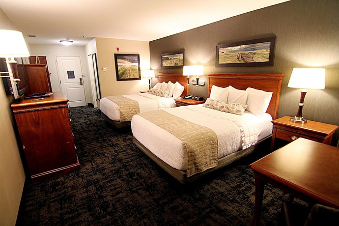 Imagen de la habitación del Hotel C'mon Inn And Suites. Foto 3