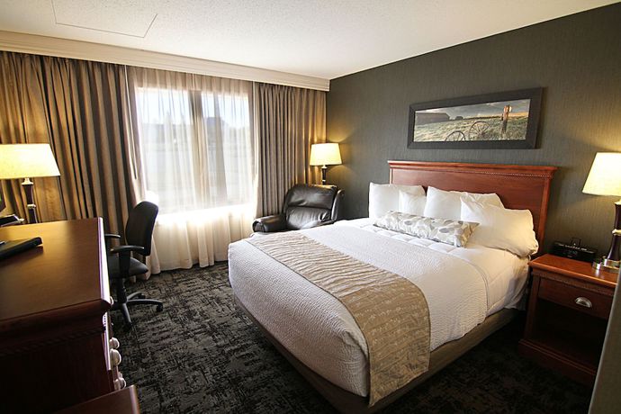 Imagen de la habitación del Hotel C'mon Inn And Suites. Foto 7