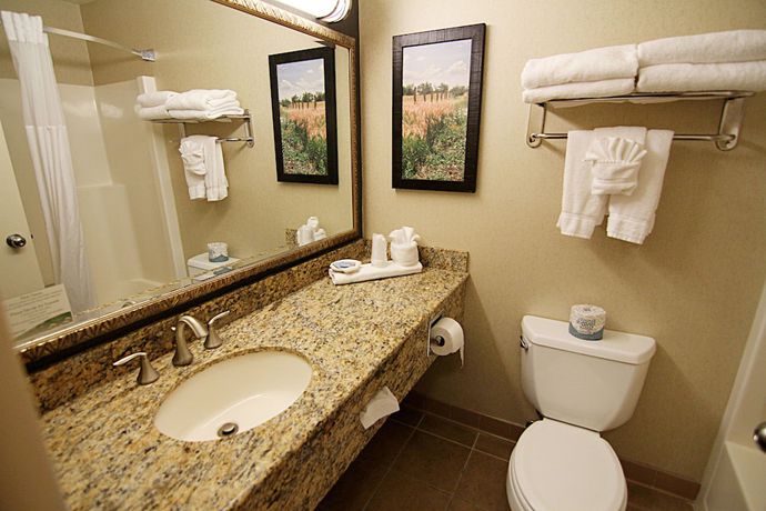 Imagen de la habitación del Hotel C'mon Inn And Suites. Foto 10