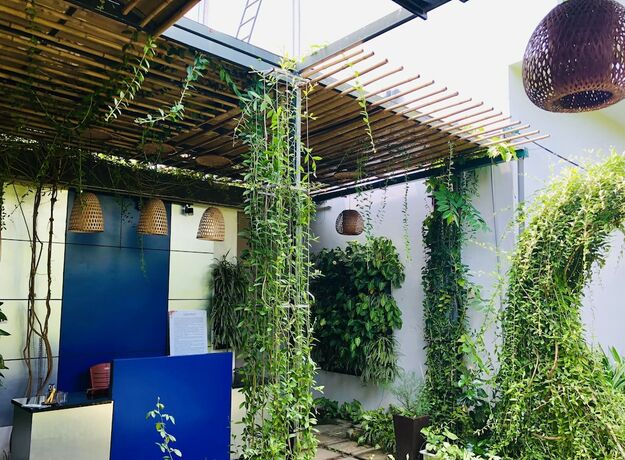 Imagen general del Hotel Co To Center Homestay. Foto 5