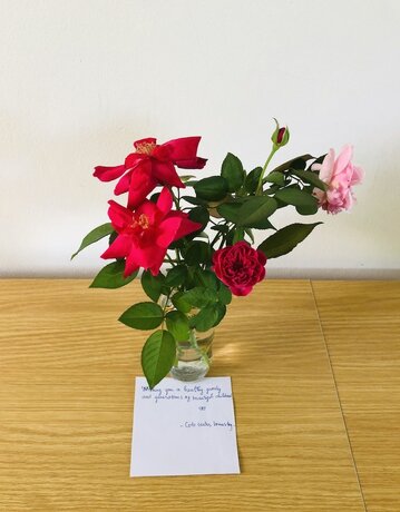 Imagen general del Hotel Co To Center Homestay. Foto 8