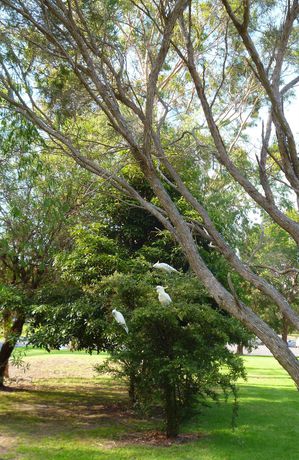 Imagen de los exteriores del Hotel Coachman's Eden. Foto 6