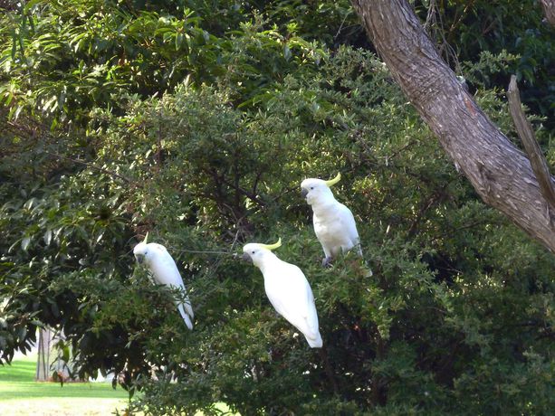 Imagen de los exteriores del Hotel Coachman's Eden. Foto 10