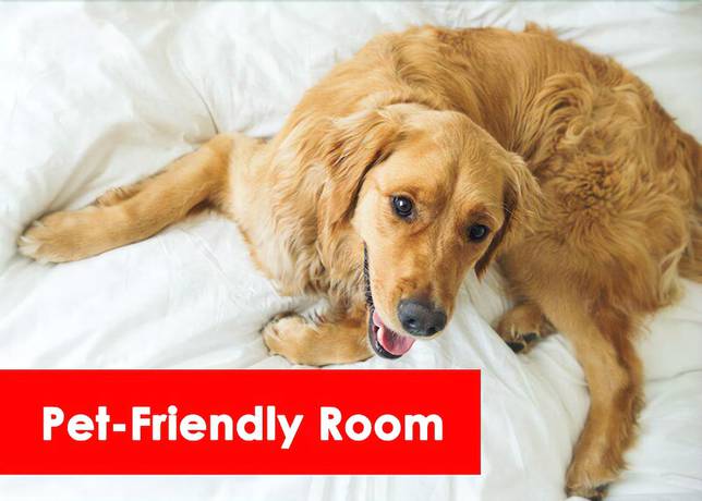 Imagen de la habitación del Hotel Coastal Palms Inn and Suites. Foto 4