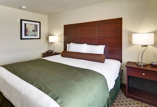 Imagen de la habitación del Hotel Cobblestone Inn and Suites &ndash; Big Lake. Foto 7