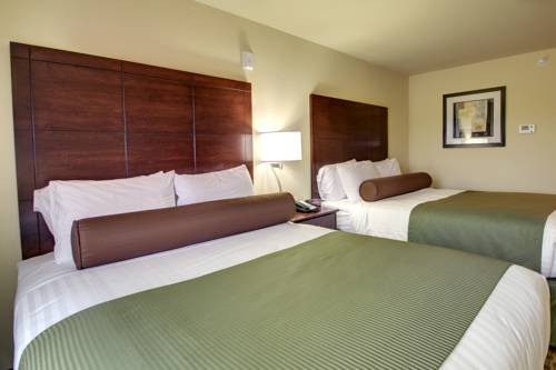 Imagen de la habitación del Hotel Cobblestone & Suites Waynesboro. Foto 6