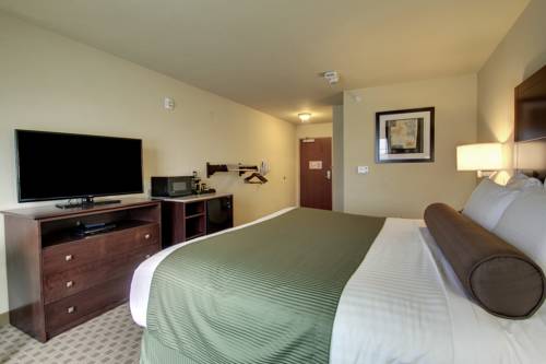 Imagen de la habitación del Hotel Cobblestone & Suites Waynesboro. Foto 14