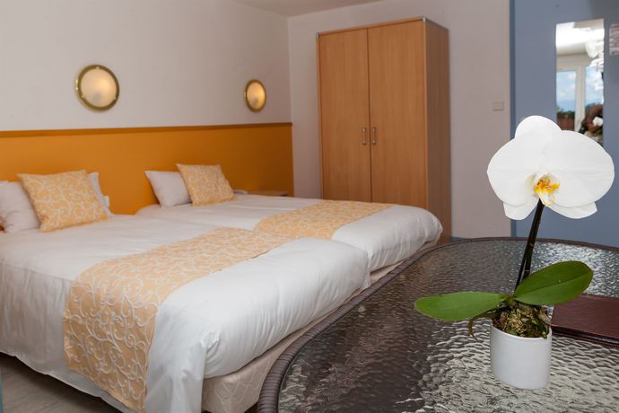 Imagen de la habitación del Hotel C&ocirc;t&eacute; Sud L&eacute;man. Foto 7