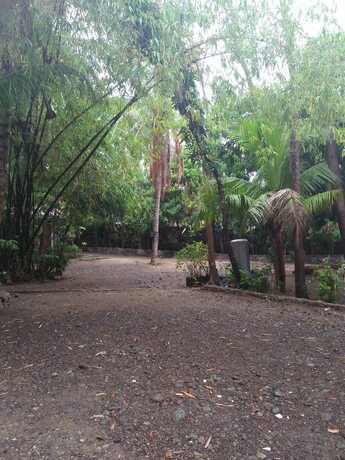 Imagen general del Hotel Coco Paradise Beach Resort. Foto 14