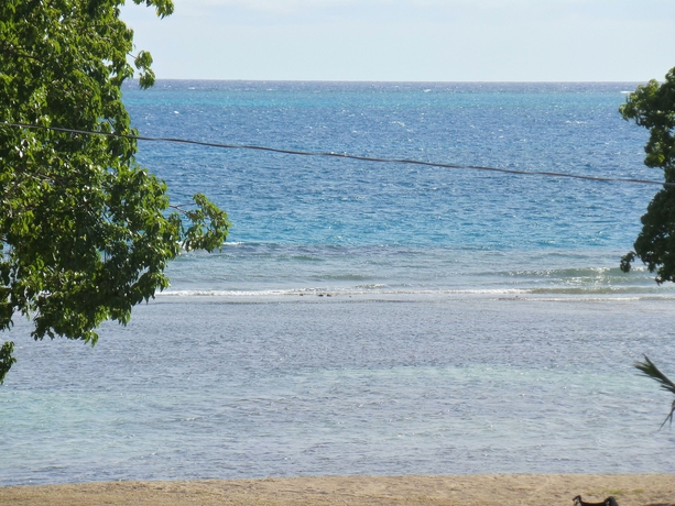 Imagen de los exteriores del Hotel Coco Rose Guesthouse. Foto 9