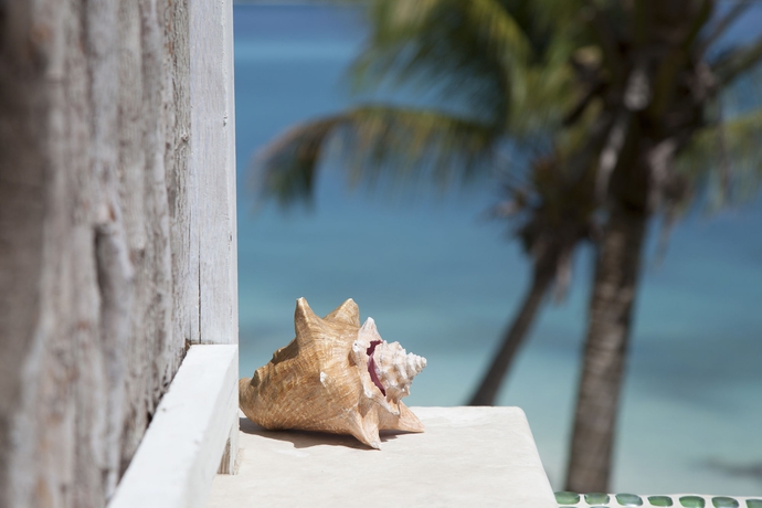 Imagen general del Hotel Cocobay Resort - All Inclusive - Adults Only. Foto 3