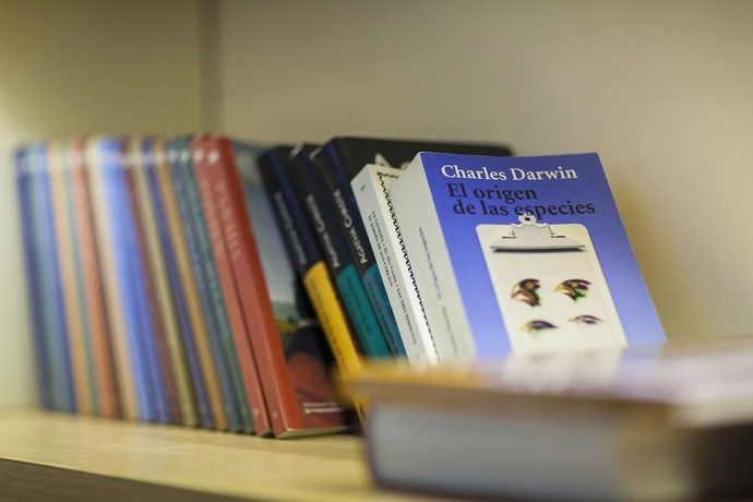 Imagen de los interiores del Hotel Coco-mat Nafsika. Foto 11