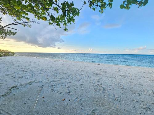 Imagen de la habitación del Hotel Cocomo Maldives. Foto 7